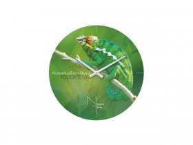 Часы настенные Nicole Time NT503 в Мирном - mirnyj.mebel-nsk.ru | фото