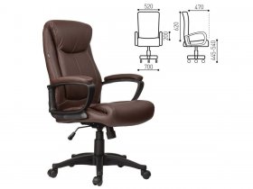Кресло офисное BRABIX Enter EX-511, коричневое в Мирном - mirnyj.mebel-nsk.ru | фото